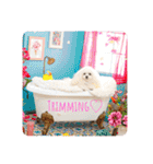 可愛いフェネックバニラファミリー（個別スタンプ：9）