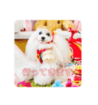 可愛いフェネックバニラファミリー（個別スタンプ：19）