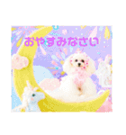 可愛いフェネックバニラファミリー（個別スタンプ：20）