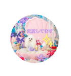 可愛いフェネックバニラファミリー（個別スタンプ：25）