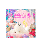 可愛いフェネックバニラファミリー（個別スタンプ：26）