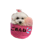 可愛いフェネックバニラファミリー（個別スタンプ：28）