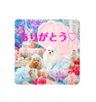 可愛いフェネックバニラファミリー（個別スタンプ：35）