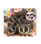 可愛いフェネックバニラファミリー（個別スタンプ：38）