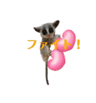 可愛いフェネックバニラファミリー（個別スタンプ：40）