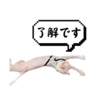エルフキャットの白雪とたまに桃乃助（個別スタンプ：2）