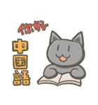 習いごとねこ（個別スタンプ：7）