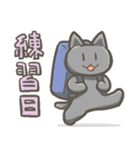 習いごとねこ（個別スタンプ：13）