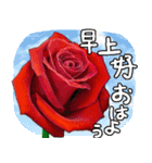 ❤️秋のバラとずっと使える台湾語と日本語（個別スタンプ：1）