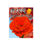 ❤️秋のバラとずっと使える台湾語と日本語（個別スタンプ：4）