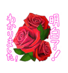 ❤️秋のバラとずっと使える台湾語と日本語（個別スタンプ：6）