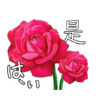 ❤️秋のバラとずっと使える台湾語と日本語（個別スタンプ：7）