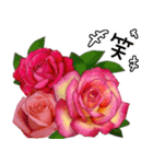 ❤️秋のバラとずっと使える台湾語と日本語（個別スタンプ：15）