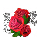 ❤️秋のバラとずっと使える台湾語と日本語（個別スタンプ：16）