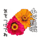 ❤️秋のバラとずっと使える台湾語と日本語（個別スタンプ：20）