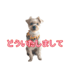 ヨークシャーテリアのガブリエル4（個別スタンプ：28）