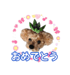ヨークシャーテリアのガブリエル4（個別スタンプ：30）