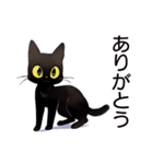 AI黒猫★毎日使えるスタンプ（個別スタンプ：1）