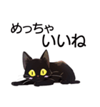 AI黒猫★毎日使えるスタンプ（個別スタンプ：3）