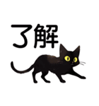 AI黒猫★毎日使えるスタンプ（個別スタンプ：5）