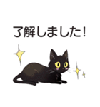 AI黒猫★毎日使えるスタンプ（個別スタンプ：6）