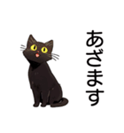 AI黒猫★毎日使えるスタンプ（個別スタンプ：9）
