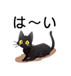AI黒猫★毎日使えるスタンプ（個別スタンプ：11）