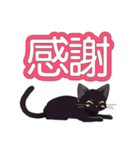 AI黒猫★毎日使えるスタンプ（個別スタンプ：13）