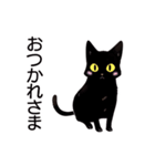 AI黒猫★毎日使えるスタンプ（個別スタンプ：14）