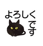 AI黒猫★毎日使えるスタンプ（個別スタンプ：16）