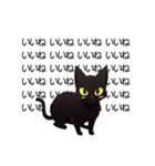 AI黒猫★毎日使えるスタンプ（個別スタンプ：17）