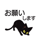 AI黒猫★毎日使えるスタンプ（個別スタンプ：18）