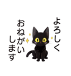AI黒猫★毎日使えるスタンプ（個別スタンプ：19）