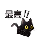 AI黒猫★毎日使えるスタンプ（個別スタンプ：20）