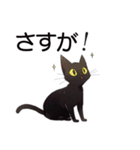 AI黒猫★毎日使えるスタンプ（個別スタンプ：21）