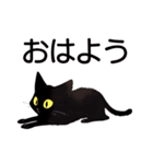 AI黒猫★毎日使えるスタンプ（個別スタンプ：25）
