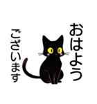 AI黒猫★毎日使えるスタンプ（個別スタンプ：26）