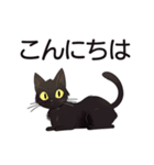 AI黒猫★毎日使えるスタンプ（個別スタンプ：27）