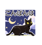 AI黒猫★毎日使えるスタンプ（個別スタンプ：28）