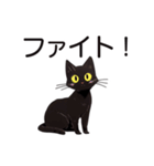 AI黒猫★毎日使えるスタンプ（個別スタンプ：30）