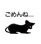 AI黒猫★毎日使えるスタンプ（個別スタンプ：35）