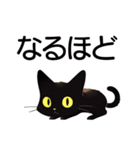 AI黒猫★毎日使えるスタンプ（個別スタンプ：36）