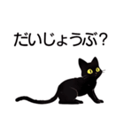 AI黒猫★毎日使えるスタンプ（個別スタンプ：37）