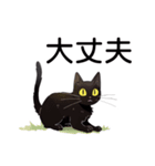 AI黒猫★毎日使えるスタンプ（個別スタンプ：38）