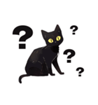 AI黒猫★毎日使えるスタンプ（個別スタンプ：39）