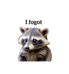 アライグマ raccoon2（個別スタンプ：13）