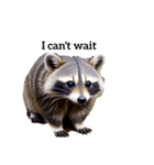 アライグマ raccoon2（個別スタンプ：14）