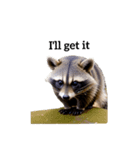 アライグマ raccoon2（個別スタンプ：20）