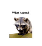 アライグマ raccoon2（個別スタンプ：40）