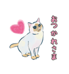 あざとくてごめん♡なねこにゃんず③（個別スタンプ：4）